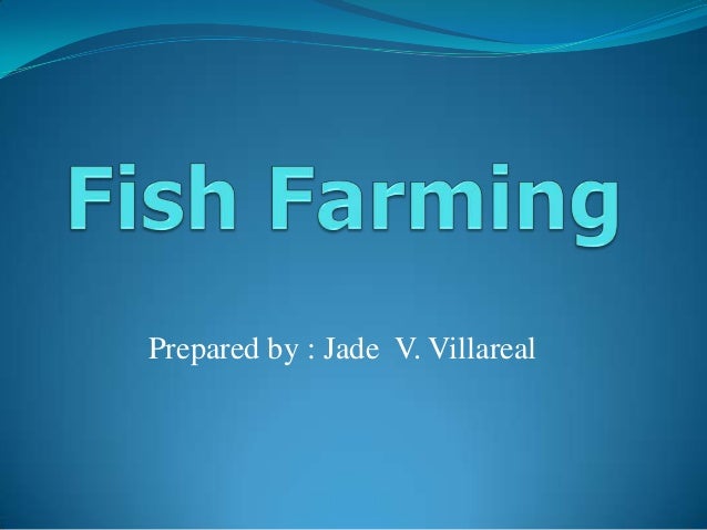 fish farming business plan ppts tilapia fish farming business plan pdf